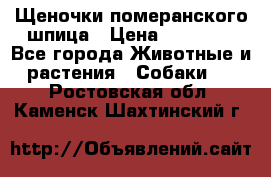 Щеночки померанского шпица › Цена ­ 25 000 - Все города Животные и растения » Собаки   . Ростовская обл.,Каменск-Шахтинский г.